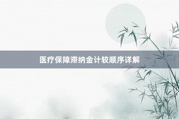 医疗保障滞纳金计较顺序详解