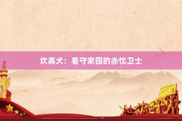 坎高犬：看守家园的赤忱卫士